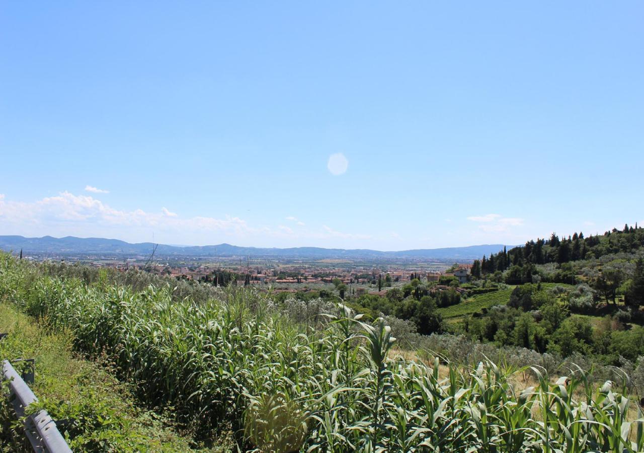 Bed and Breakfast Ulivo Rosso Сесто-Фьорентино Экстерьер фото